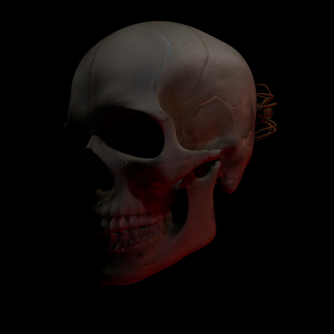 Выцветший снимок